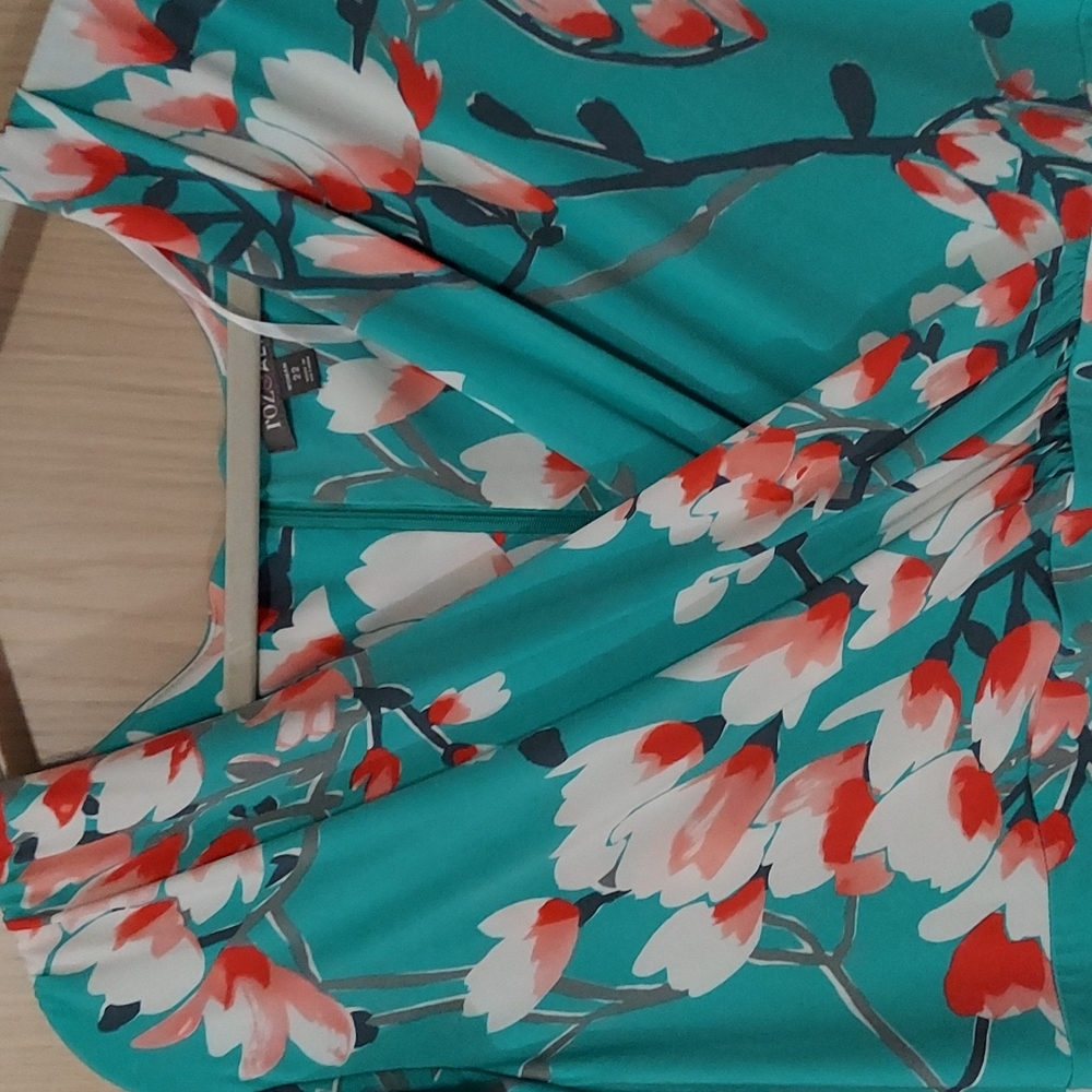 Roz and Ali dress